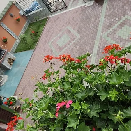 Casa Cizi *