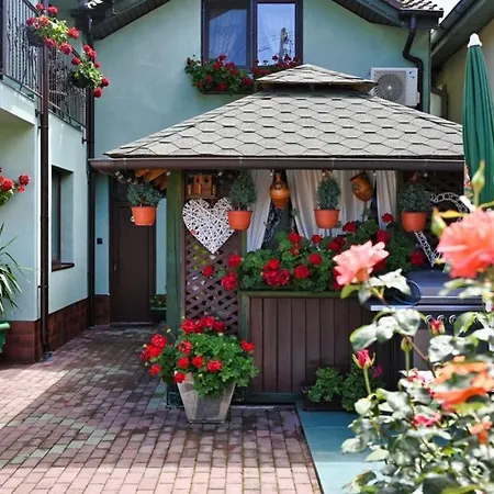 Guest house Casa Cizi *
